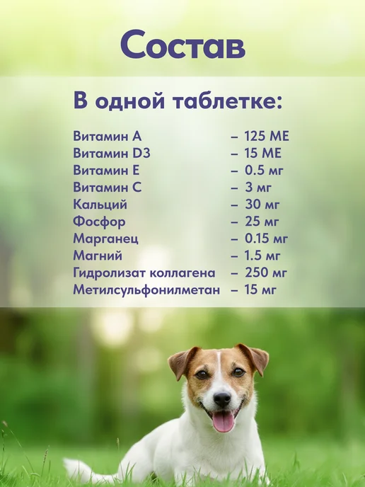 polidex Витамины для собак для суставов Полидэкс Гелабон 60, вариант, фото 2