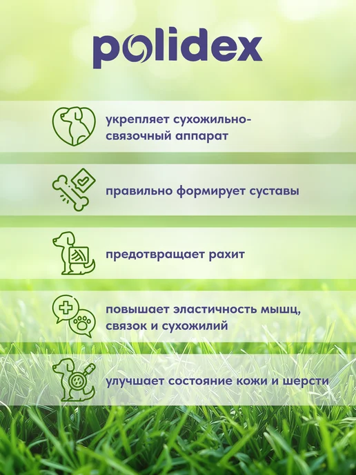 polidex Витамины для собак для суставов Полидэкс Гелабон 60, вариант, фото 4