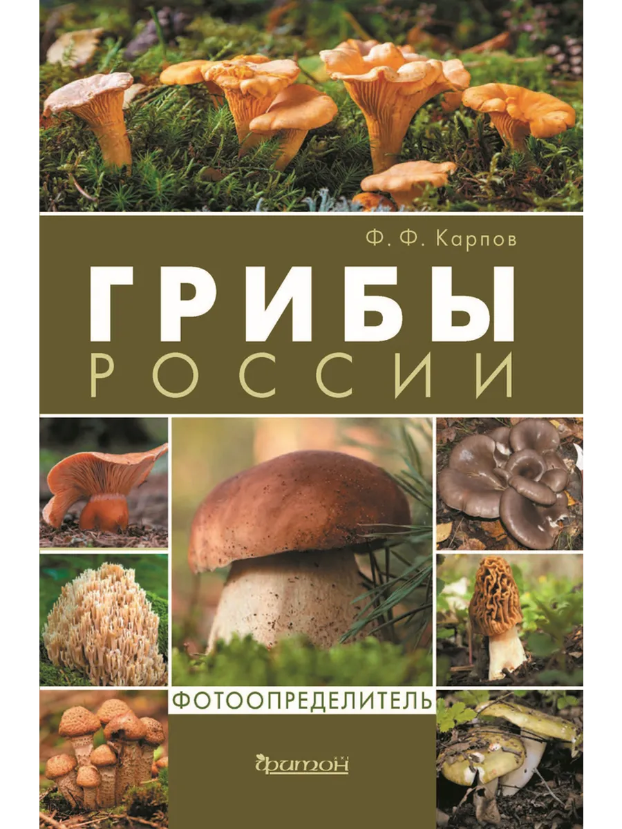 Грибы России Фотоопределитель