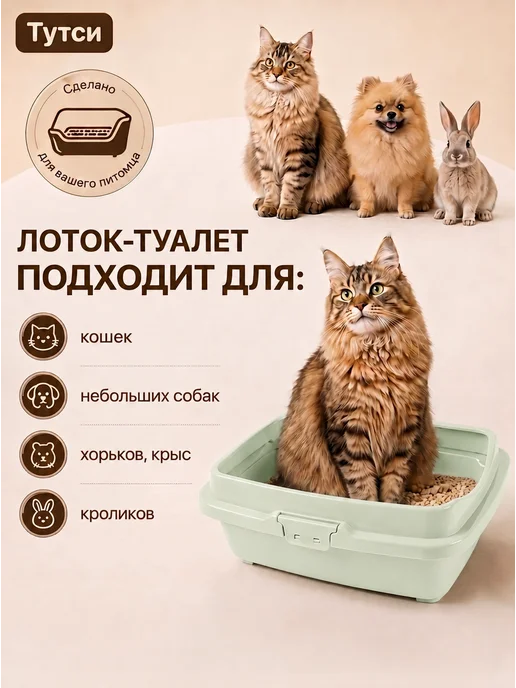 DDSTYLE Туалет для кошек большой полная комплектация, зеленый, фото 4