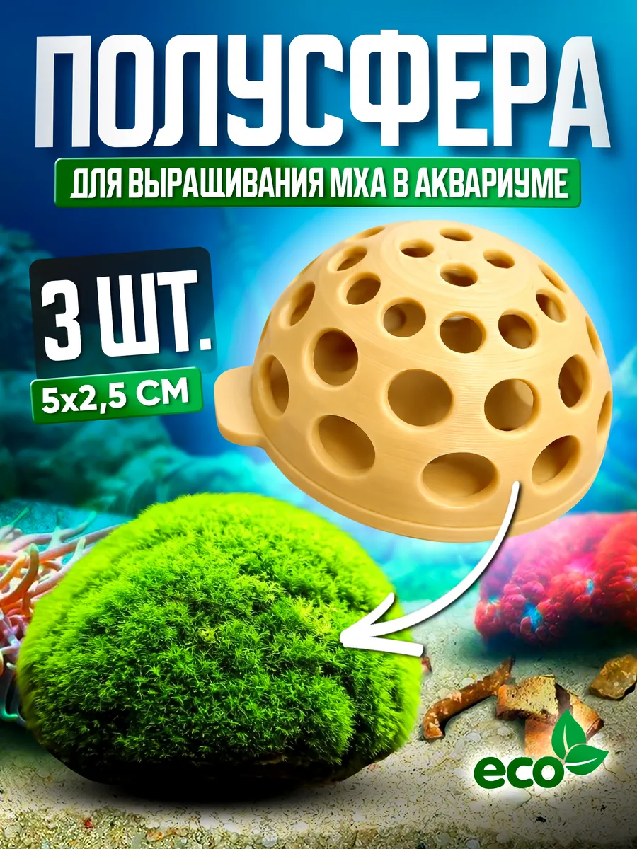 Полусфера для мха в аквариуме