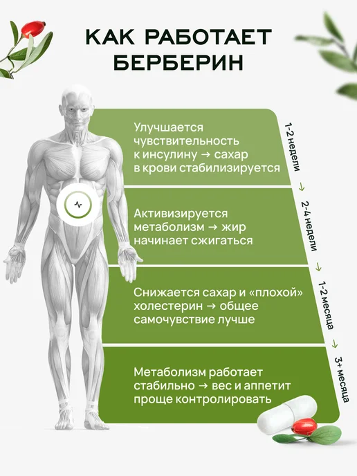Лайфавит Экстракт барбариса и хром для похудения, 75 мл, фото 2