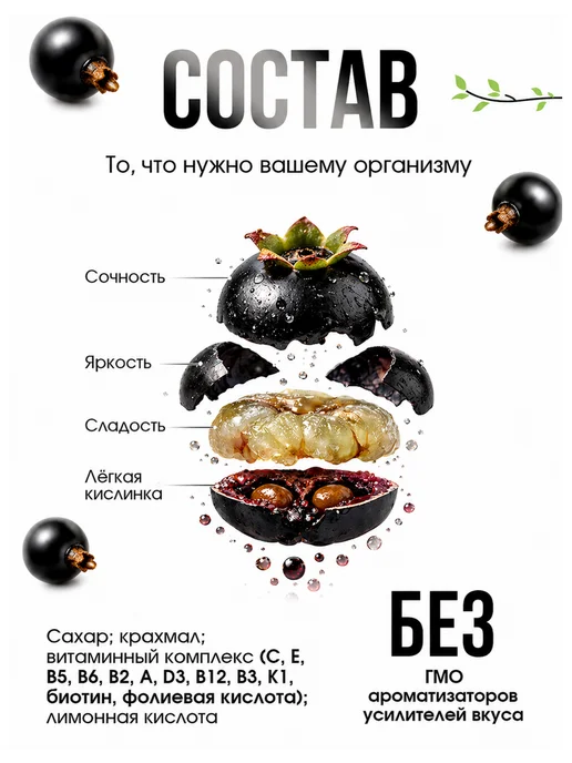 АлтайФлора Кисель черная смородина быстрорастворимый натуральный1кг, черный, фото 2