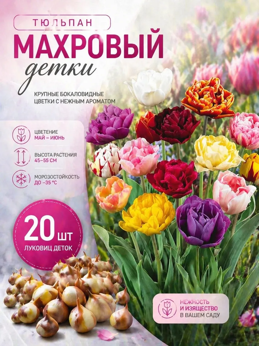 Луковица Тюльпана Махровый Детки