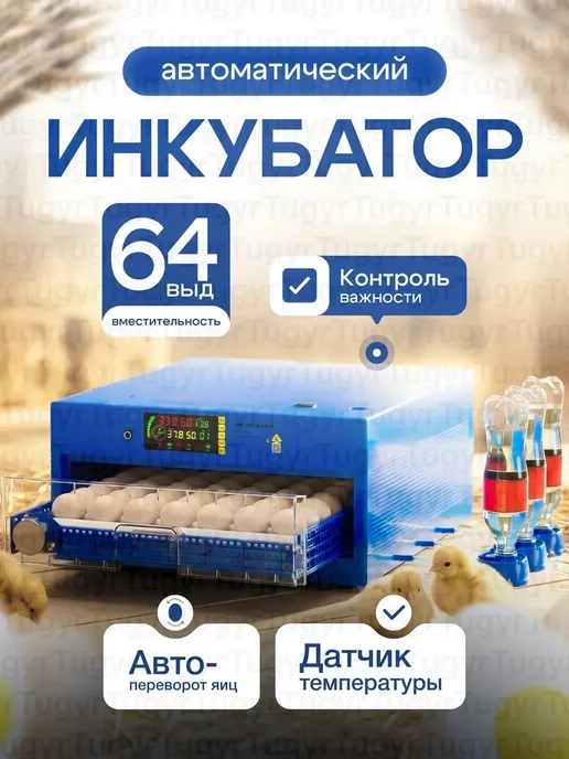 Инкубатор на 64 яйца с автоповоротом и выдвижнимы лотками, синий