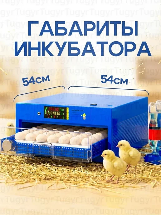 Инкубатор на 64 яйца с автоповоротом и выдвижнимы лотками, синий, фото 2