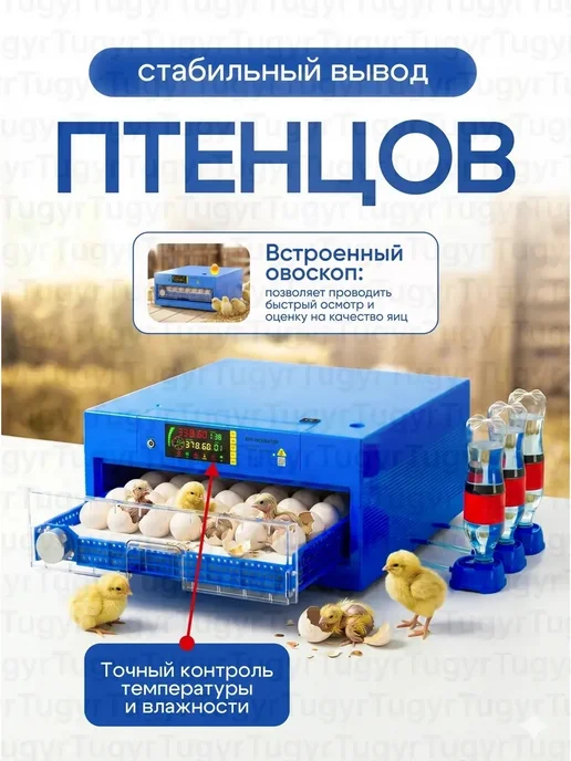 Инкубатор на 64 яйца с автоповоротом и выдвижнимы лотками, синий, фото 3