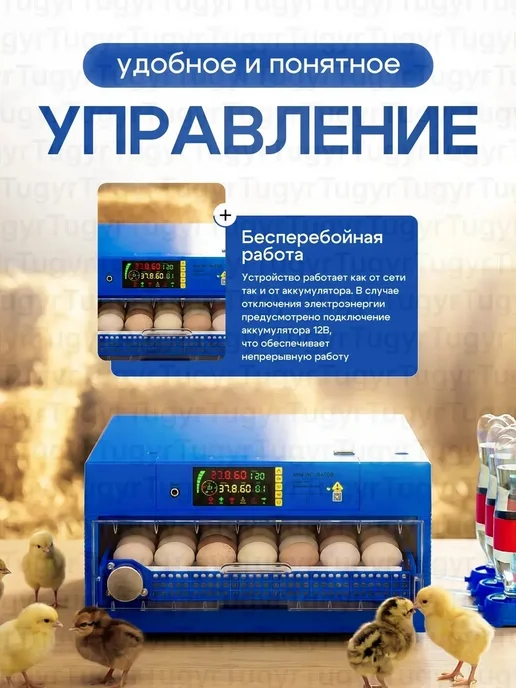 Инкубатор на 64 яйца с автоповоротом и выдвижнимы лотками, синий, фото 6