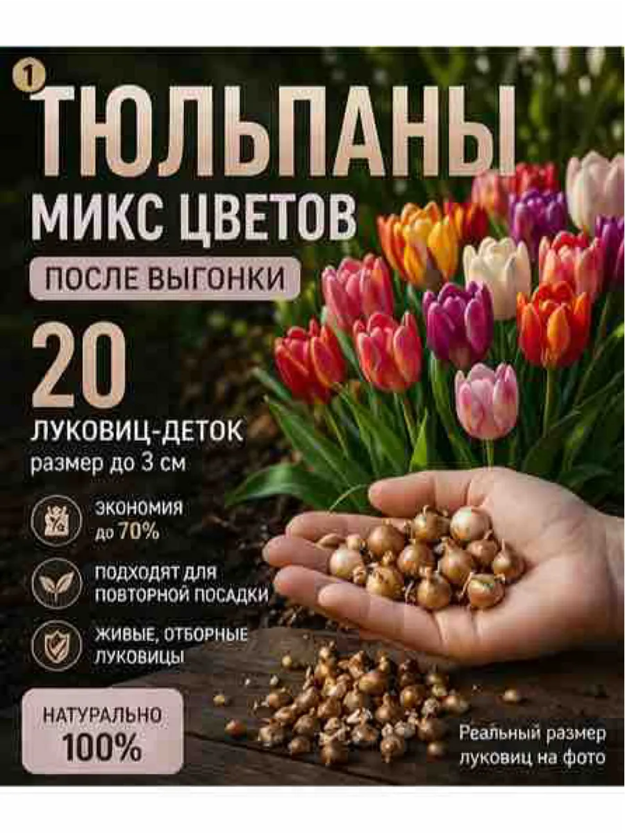 Тюльпаны микс 20 штук для посадки