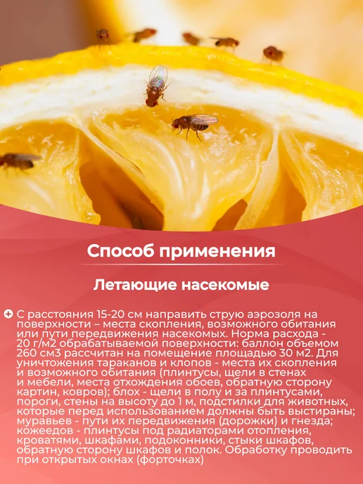 Варан Дихлофос спрей универсальный без запаха 200 мл, 200 мл, фото 3