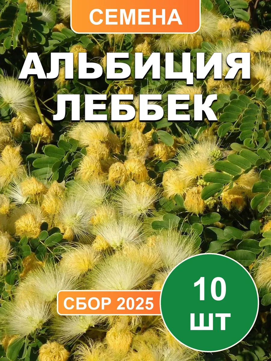Альбиция Леббек, семена, 10шт