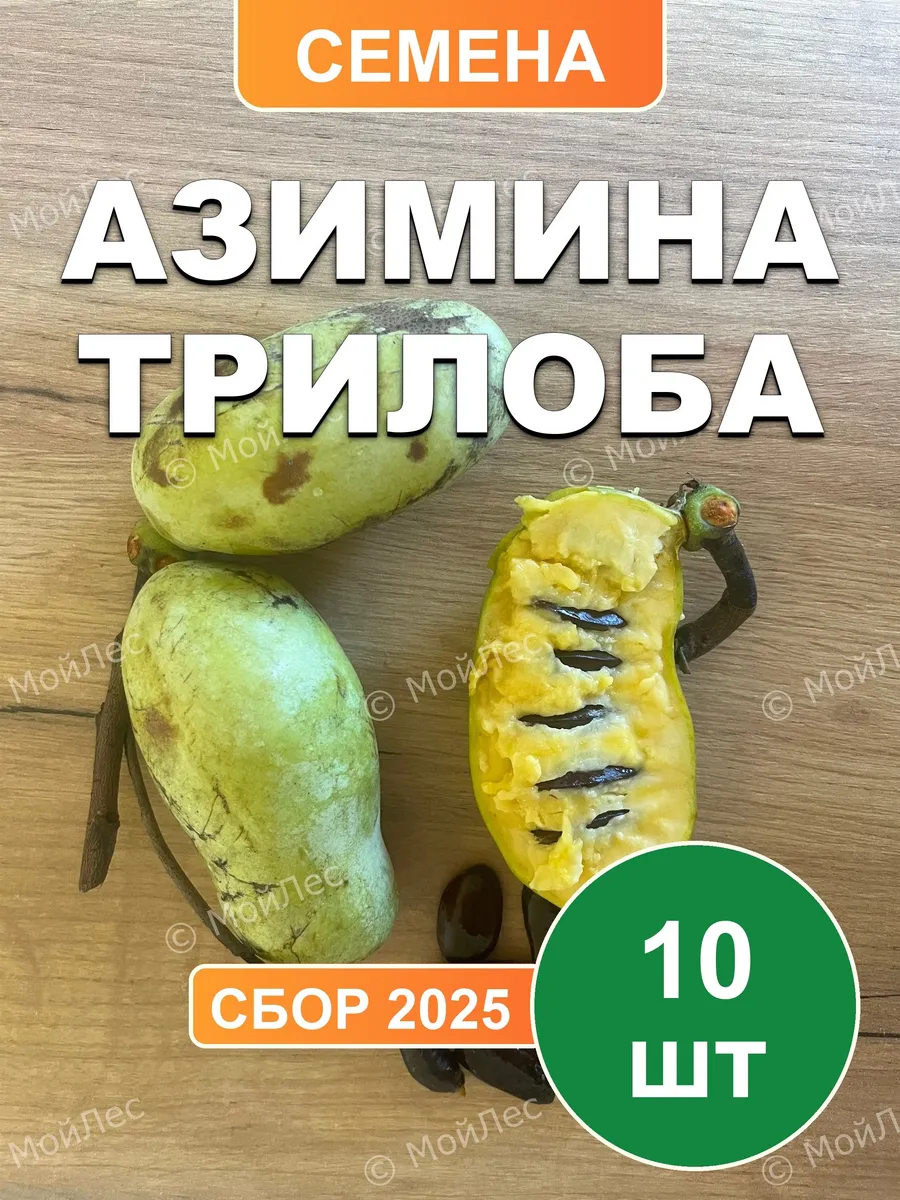 Азимина трилоба, семена, 10шт