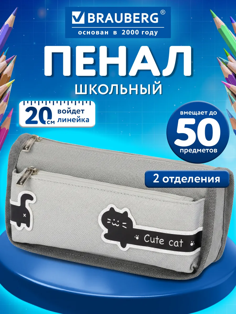 Пенал школьный для карандашей и ручек мягкий 2 отделения
