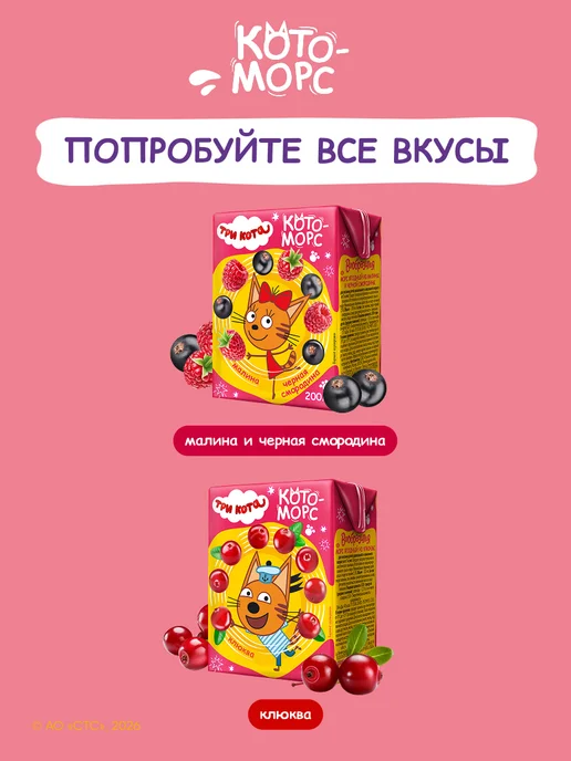 Вообразилия Три кота Детский ягодный натуральный морс 200 мл 27 шт, 200 мл, 27 шт, фото 6