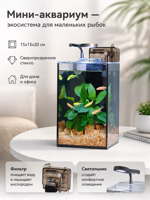 Мини-аквариум настольный 15х15х20 см с фильтром и светом, 15x15x20 см