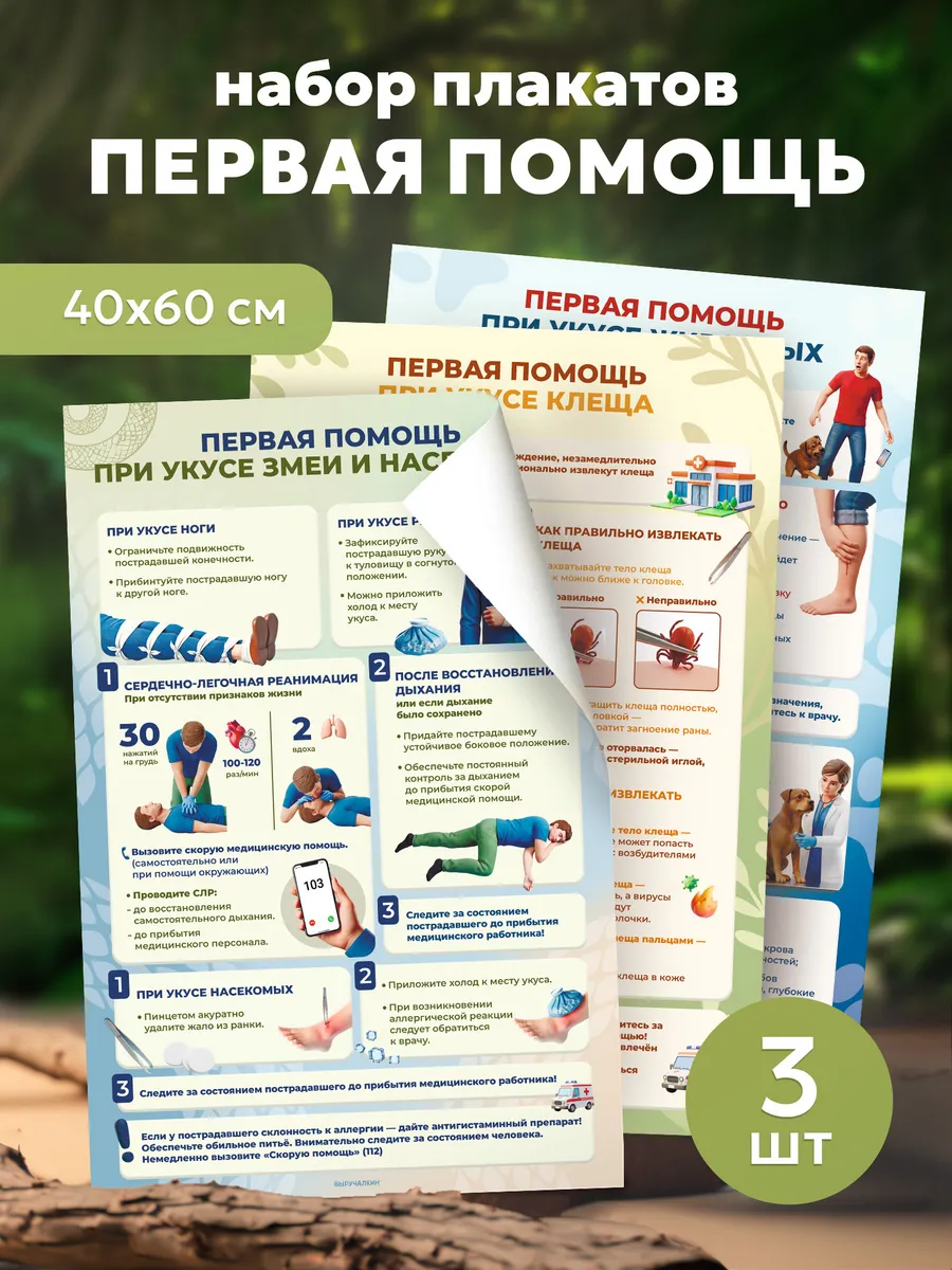 Плакаты на стену «Первая помощь» №3