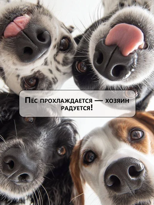 Honey GinGer Охлаждающий коврик для собак и кошек 50х70 см, 60x76 см, фото 7