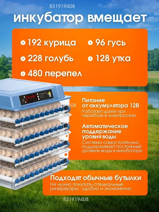 Инкубатор для яиц автоматический с терморегулятором, вариант, фото 2