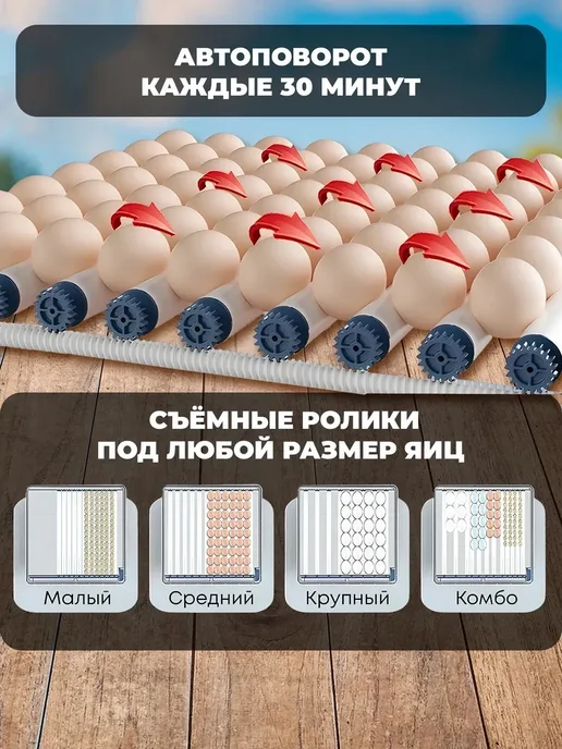 Инкубатор для яиц автоматический с терморегулятором, вариант, фото 7