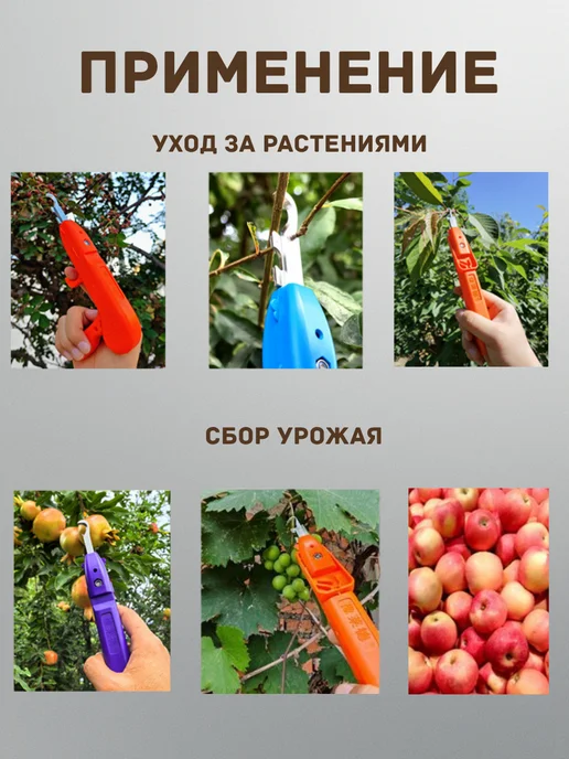 Секатор для сада и огорода для овощей, фруктов и винограда, синий, фото 3