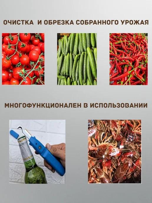 Секатор для сада и огорода для овощей, фруктов и винограда, синий, фото 4
