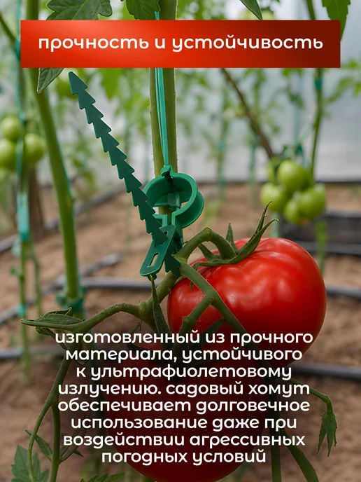 GARDENPLAST Садовый хомут в комплекте 50 шт, 50 шт, фото 3