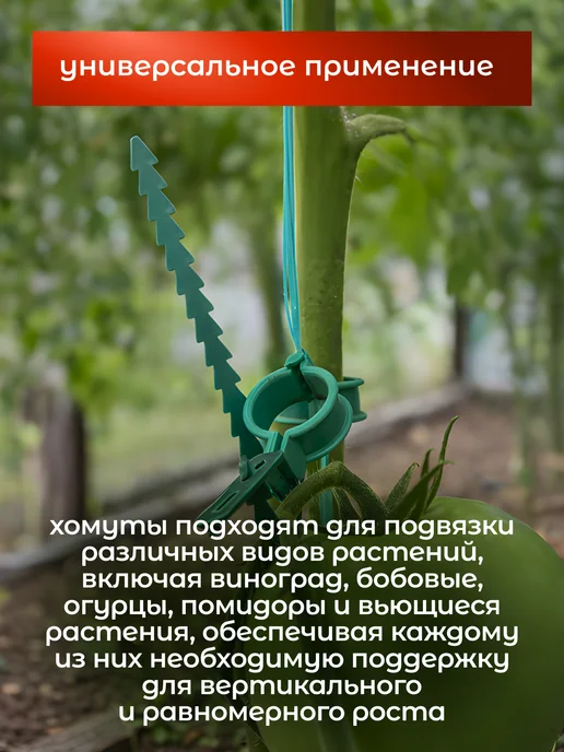 GARDENPLAST Садовый хомут в комплекте 50 шт, 50 шт, фото 4