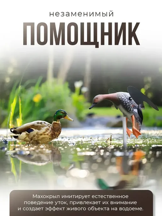 Махокрыл чучело утки для охоты, вариант, фото 4