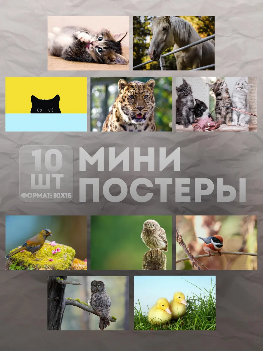 Мини постеры (набор) «Животные» 10 шт