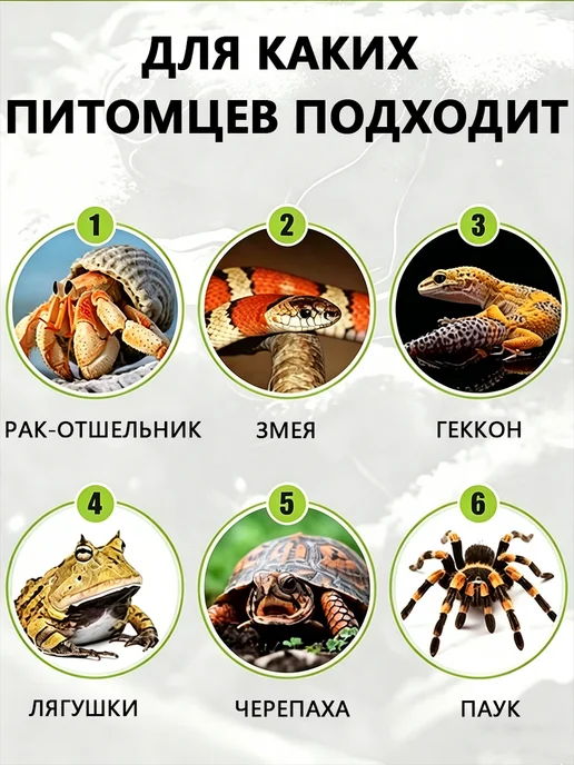 Террариум для рептилий черепах эублефара змей, белый, в упаковке 1,1 кг, фото 3