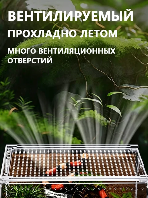 Террариум для рептилий черепах эублефара змей, белый, в упаковке 1,1 кг, фото 8