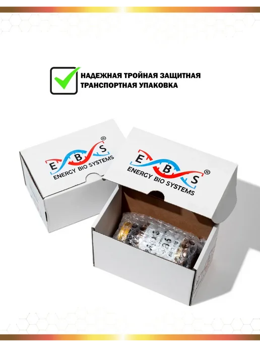 Энерго Био Системы Магний В6 цитрат глицинат хелат 600 мг 60 капсул, вариант, фото 7