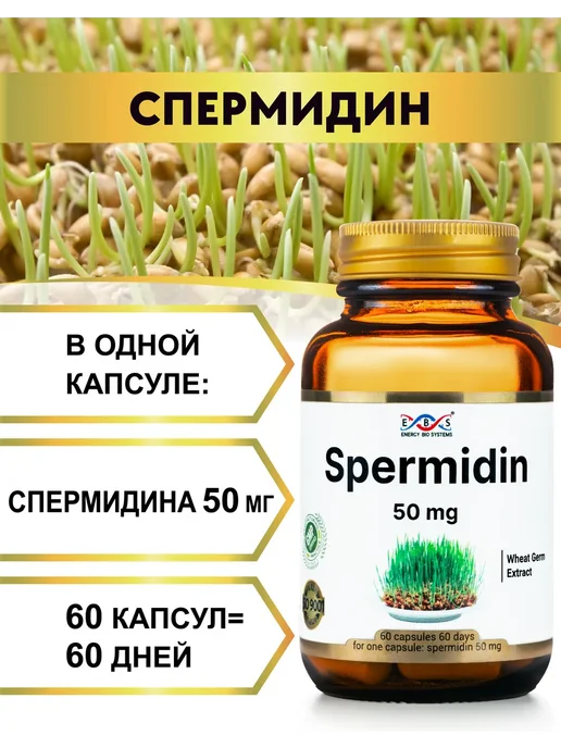 Энерго Био Системы Спермидин 50 мг 60 капсул, вариант, фото 2
