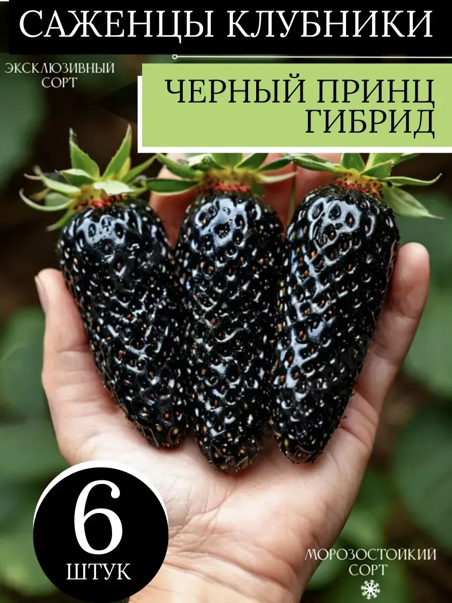 Саженцы клубники рассада 6шт