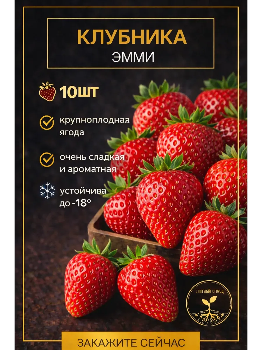 Саженцы клубники Эмми (ЗКС) 10шт