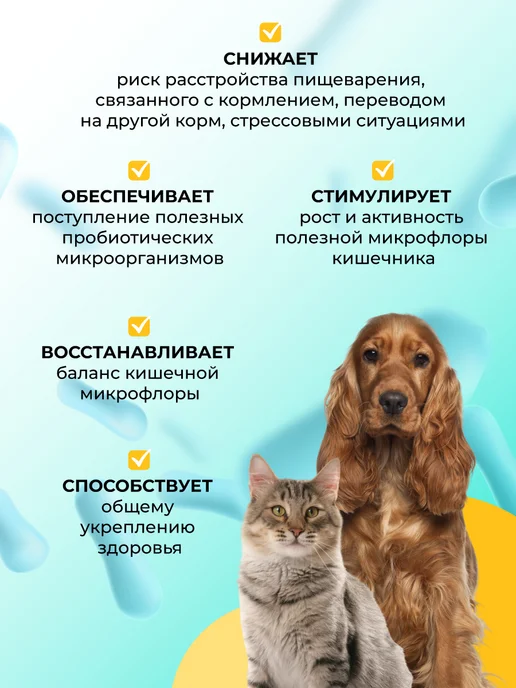 veda Комплекс пробиотиков для кошек и собак Лактобифид, 40 таб, вариант, фото 3