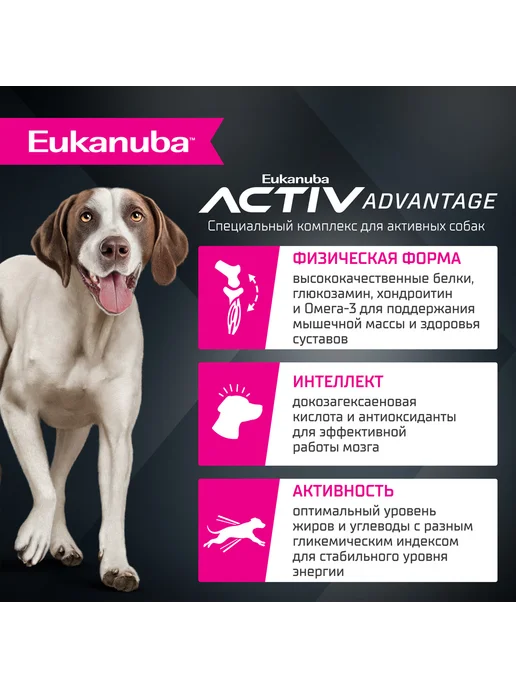 Сухой корм Eukanuba для собак, крупные, ягненок, 3 кг, фото 5