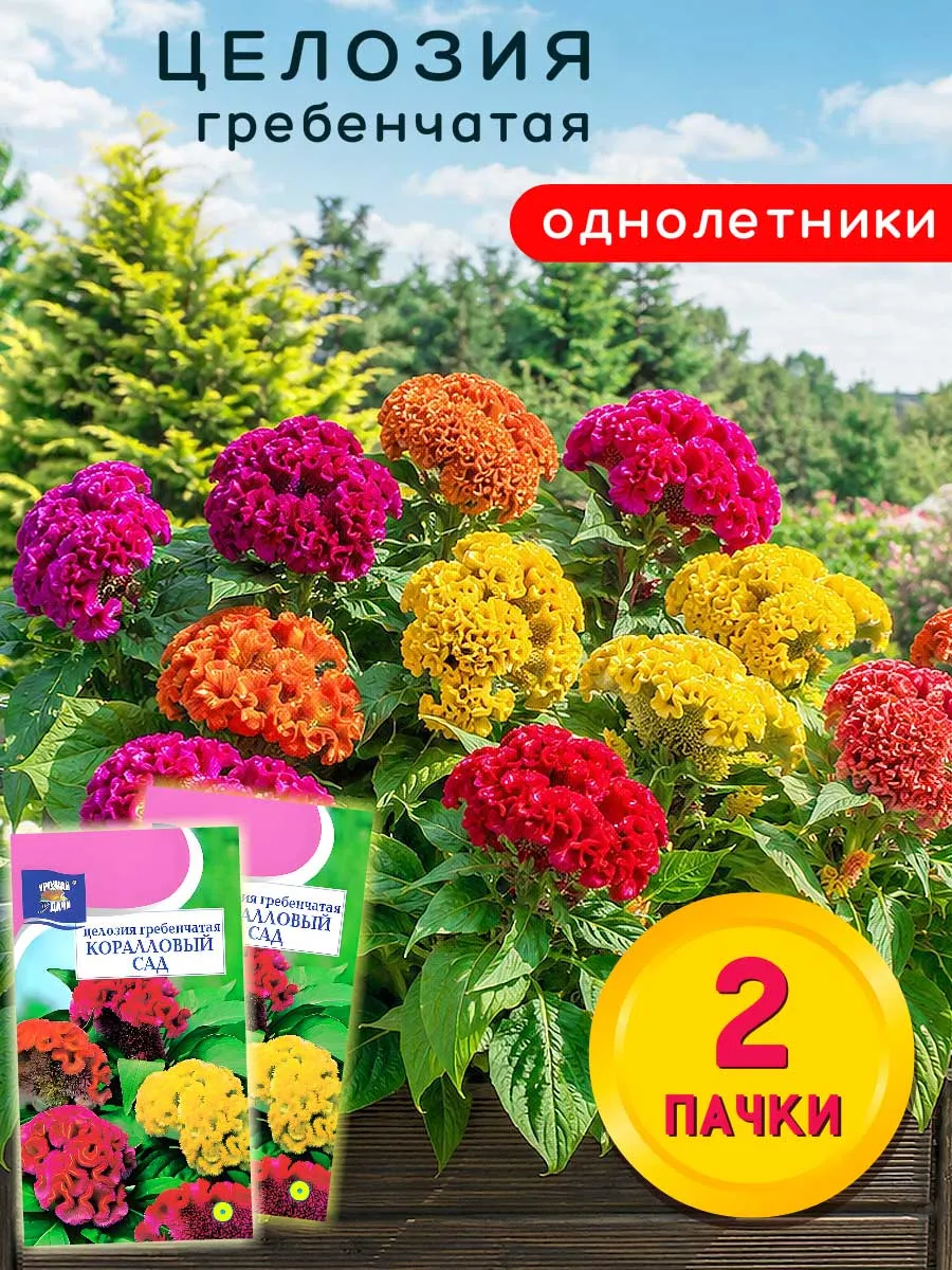 Семена цветов Целозия Коралловый Сад 2шт