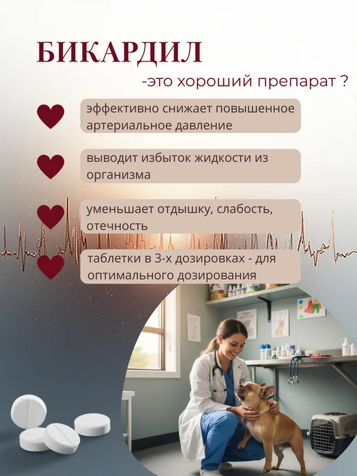 Рубикон Бикардил ( аналог Кардалис ) 5 мг 40 мг для собак, 5 40, фото 3
