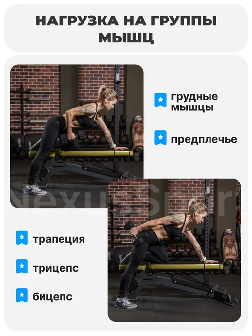 Nexus Sport Гантели неразборные 2 кг х 2, прорезиненные, пара, 1 кг, фото 3