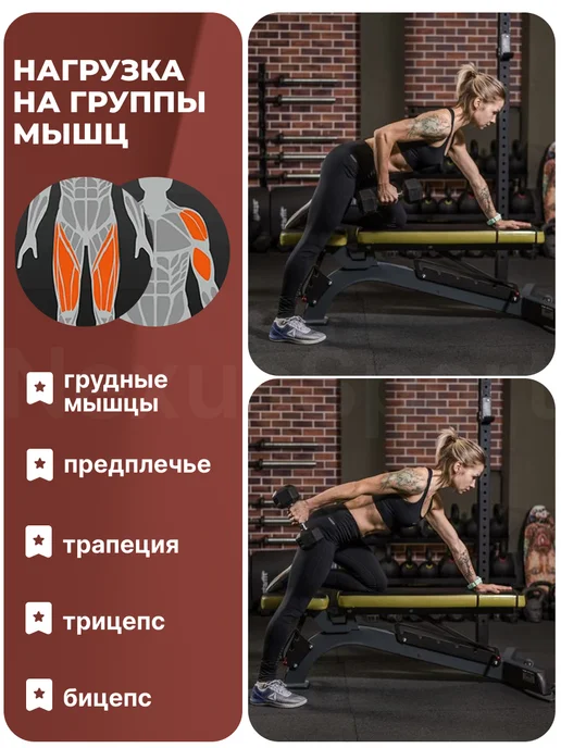 Nexus Sport Гантели неразборные 2 кг х 2, прорезиненные, пара, 1 кг, фото 8